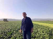 (Özel) Avrupa'nin Ispanagi Bursa'dan Gidiyor