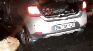 Otomobil Koyun Sürüsüne Daldi Açiklamasi 50 Koyun Telef Oldu