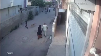 Sokak Köpeginin Küçük Çocuga Saldirdigi Anlar Kamerada