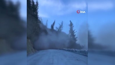 Alaska'da Heyelan Açiklamasi Agaçlar Körfeze Sürüklendi