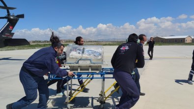 Bel Kismi Dogustan Açik Olan Bebek Helikopterle Hastaneye Ulastirildi