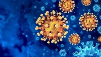 Koronavirüs geçirenlerin dikkatine! Haberi