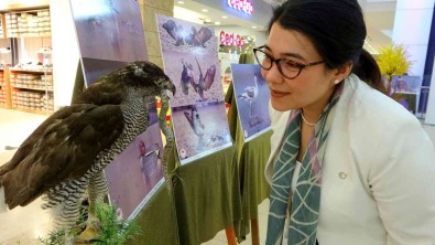 Osmaniye'de 'Göçler Güç Olmasin' Fotograf Sergisi