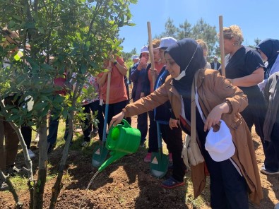 Pendik'te Hemsireler 200 Fidan Dikerek 'Kosuyolu Hatira Ormani' Olusturdu