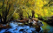 Dogu Anadolu'da En Yüksek Sicaklik Kemaliye'de En Düsük Sicaklik Erzurum Dogu Anadolu Gözlemevi'nde Ölçüldü