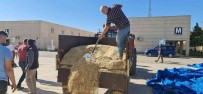 Mardin'de Yilin Ilk Arpa Hasadi Basladi, Çiftçiye Altin Hediye Edildi Haberi