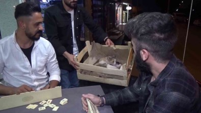 (Özel) Yok Böyle Bir Olay...Okey Masasinda Dogum