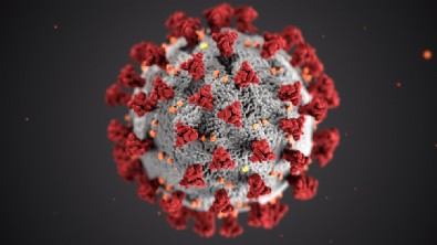 Sağlık Bakanlığı günlük koronavirüs vaka ve vefat sayılarını açıkladı!.