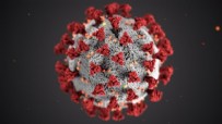 Sağlık Bakanlığı günlük koronavirüs vaka ve vefat sayılarını açıkladı!. Haberi