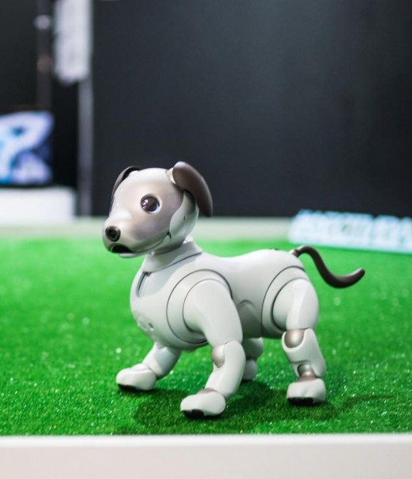 Emaar AVM’de Dünyanın En İnsansı Robotu Robot Einstein ve Gelecekteki Robot Köpeklerimiz ile Tanışın!