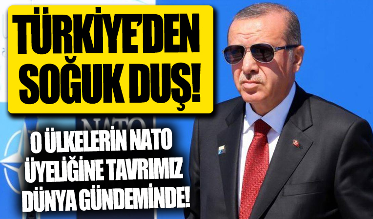 Finlandiya ve İsveç'in NATO üyeliğine Türkiye'nin tavrı dünya gündeminde