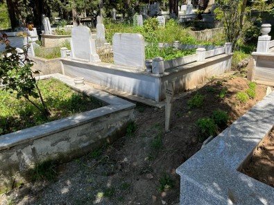 Sinop'taki Mezarlik Ilgili Bekliyor
