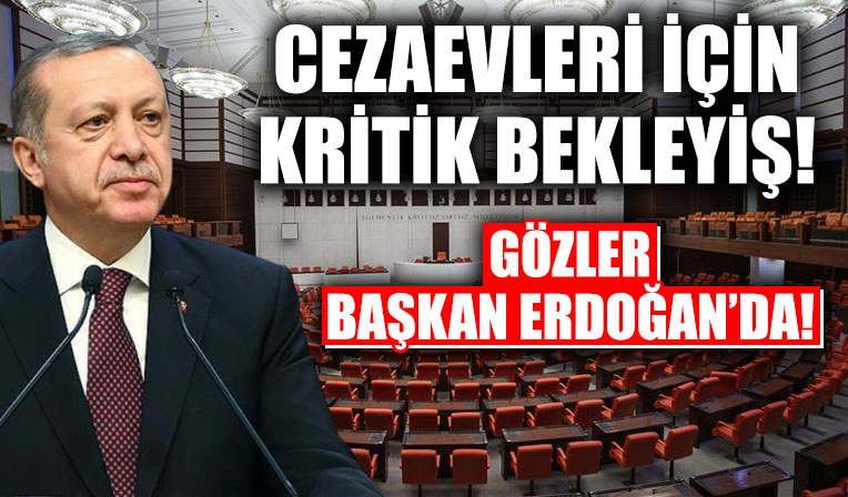 Mahkumlar için cezaevi kovid izninin uzatılması gündemde: Gözler Başkan Erdoğan'da!