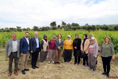 Akdeniz Belediyesi, Çiftçilere Verimli Gübre Kullanimi Semineri Baslatiyor
