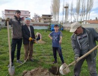 Özalpli Gençler Gelecege Nefes Olmak Için Fidan Dikti