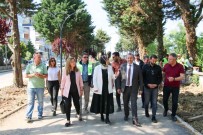 Tutuk, Yalova Belediyesi'nin Altyapi Çalismalarini Yerinde Inceledi Haberi