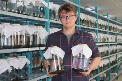 Tibbi Sülük Talebine Yetisemiyorlar, Milyonlarca Üretilip Dünyaya Satiliyor