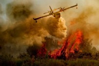 Yangın özel harekat! Bakan Vahit Kirişçi son rakamları paylaştı...