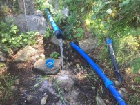 Içme Suyu Hattindan 5 Metrelik Agaç Kökü Çikti