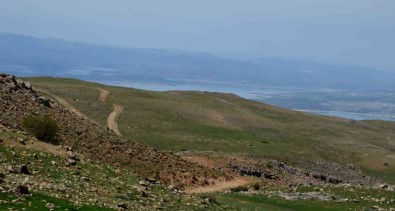 Tunceli'de Mera Otlatma 15 Haziran'da Basliyor