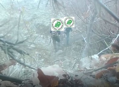 Yaban Hayatini Gözlemlemek Için Kurulan Fotokapana Kaçak Avcilar Da Yakalandi
