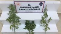 Zonguldak'ta Uyusturucu Operasyonu Açiklamasi 1 Süpheli Yakalandi