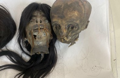 İzmir'de tüyler ürperten operasyon! Öldürüp kafalarını küçültüyorlar...