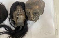 İzmir'de tüyler ürperten operasyon! Öldürüp kafalarını küçültüyorlar...