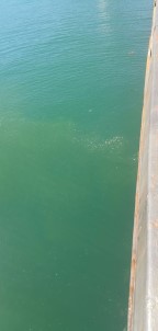 Izmit Körfezi'ni Kirleten Gemiye 1 Milyon 746 Bin TL Ceza Uygulandi