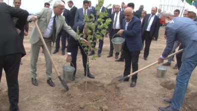 Tarim Ve Orman Bakani Kirisci, Cebrayil'da Fidan Dikti