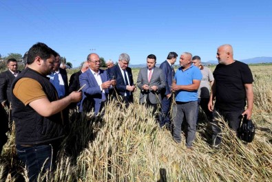 Siddetli Dolu Yagisinda 40 Bin Dekar Tarim Arazisinin Zarar Gördügü Tespit Edildi