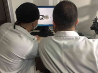 3 Boyutlu Yazici Yardimiyla Kök Hücreden Sperm Gelistirme Çalismasiyla Anne-Baba Olma Umudu