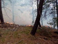 Izmir'in Iki Ilçesindeki Orman Yanginlarinda 12 Hektarlik Alan Zarar Gördü