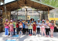 Minik Ögrenciler, Antalya Hayvanat Bahçesi'nde Resim Yapti