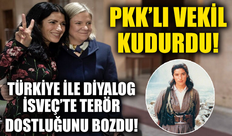 O dostluk bozuldu! İsveç'in açıklamalarının ardından PKK'lı vekil nefret kustu, sosyal medya paylaşımı dikkat çekti