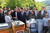 Sel Magduru Olan Köylüye Arili Kovan Verildi