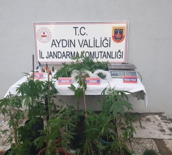 Aydin'da Bir Haftada 59 Süpheliye Uyusturucudan Islem Yapildi