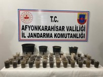 Devriye Gezen Ekipler Çiçek Saksisinda Kenevir Buldu