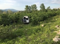 Ordu'da Minibüs Findik Bahçesine Uçtu Açiklamasi 11 Yarali