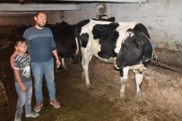 Eski Hükümlü Aldigi 53 Bin TL'lik Hibeyle Kendi Isini Kurdu