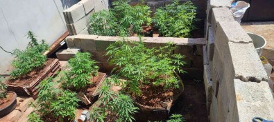 Hatay'da Uyusturucu Operasyonu