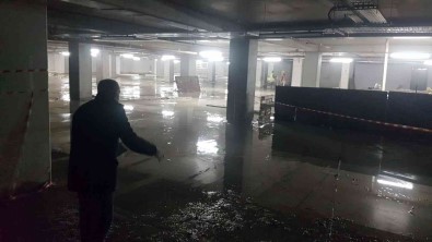 Havalar Isindi, Maltepe'de Sivrisinekle Mücadele Basladi