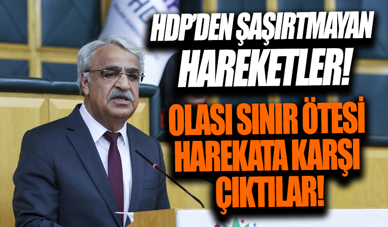 HDP, olası sınır ötesi harekata karşı çıktı