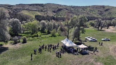 Karaköy Mesire Alani'ndaki Endemik Arastirmasinda 63 Kus Türü Kayit Altina Alindi