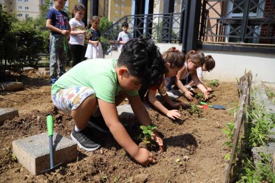 Kartal Belediyesi Kres Ögrencilerinin Ilk Fideleri Toprakla Bulustu