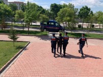 13 Yil Hapis Cezasi Olan Hirsiz Jandarmanin Operasyonuyla Yakalandi