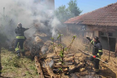 150 Saman Balyasi Küle Döndü