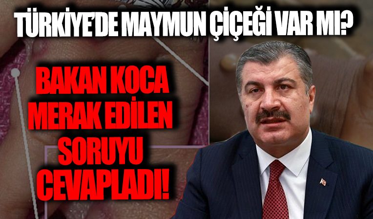 Bakan Koca'dan maymun çiçeği açıklaması