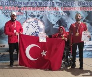 Milli Bilek Güresçilerinden Romanya'da Resital