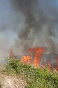 Temizlik Isçisinin Dikkati Meyve Bahçesinin Yanmasini Önledi